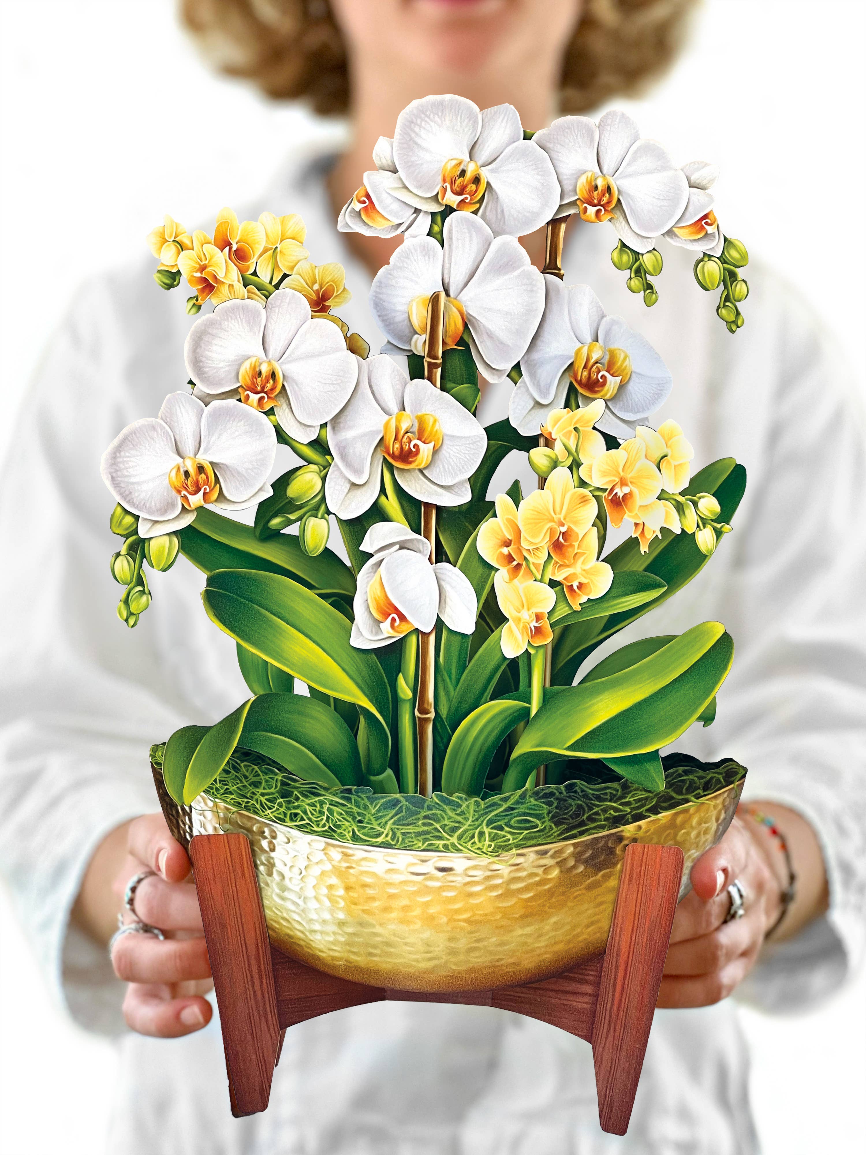 FreshCut Serenity Orchid Pop-Up Greeting Card