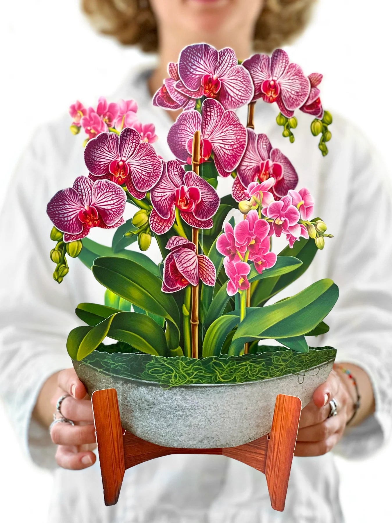 FreshCut Orchid Oasis Pop-Up Greeting Card