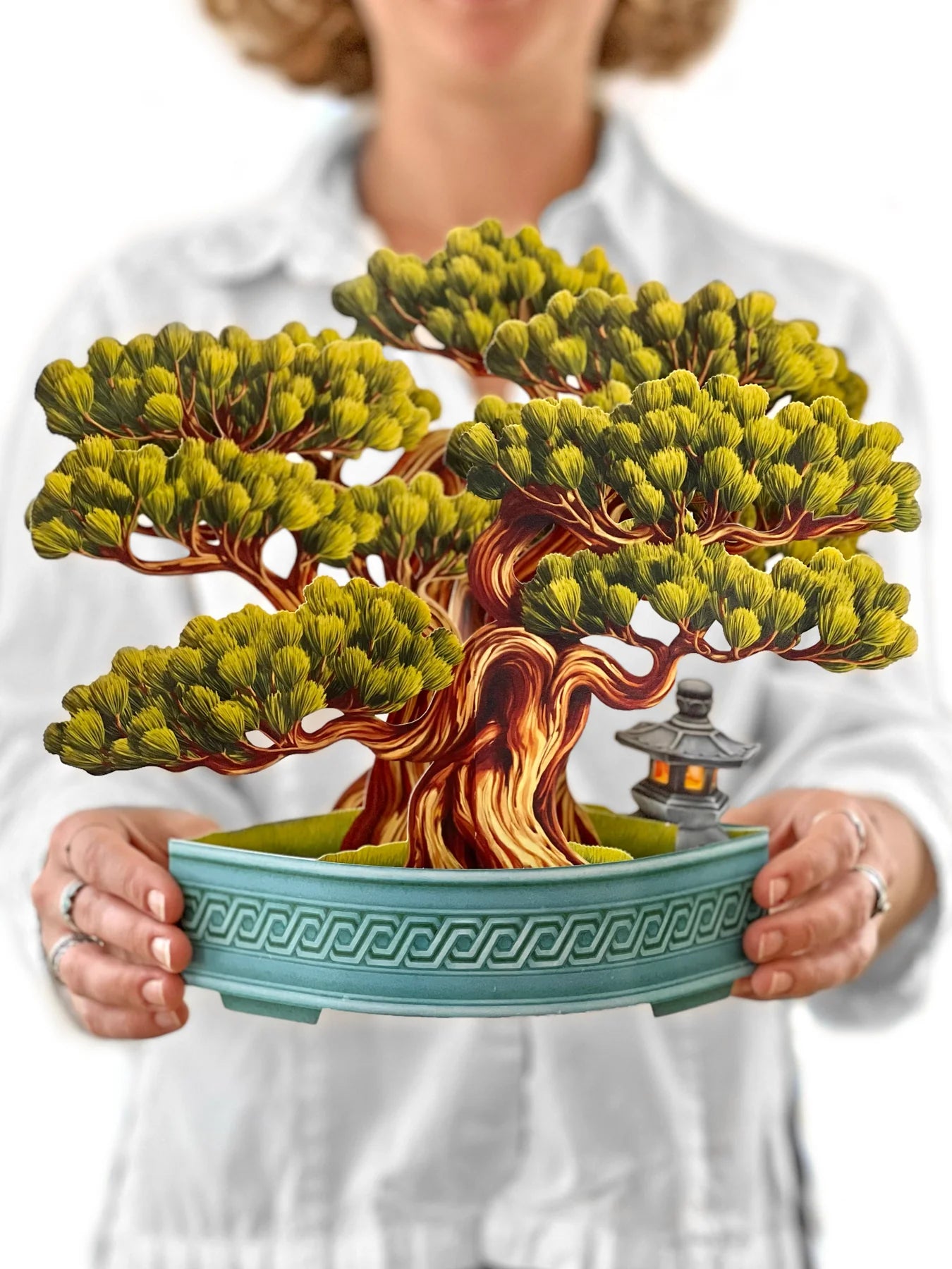 FreshCut Wisdom Bonsai Pop-Up Greeting Card